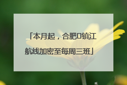 本月起，合肥⇋镇江航线加密至每周三班
