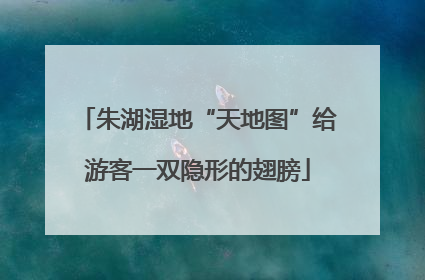 朱湖湿地“天地图”给游客一双隐形的翅膀