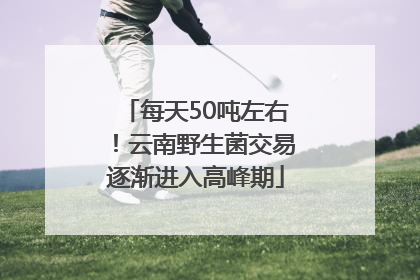 每天50吨左右！云南野生菌交易逐渐进入高峰期