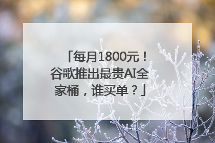 每月1800元！谷歌推出最贵AI全家桶，谁买单？