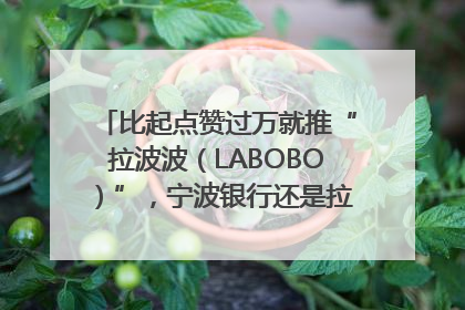 比起点赞过万就推“拉波波（LABOBO）”，宁波银行还是拉业绩吧｜财经辣评