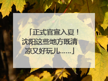 正式官宣入夏！沈阳这些地方既清凉又好玩儿……