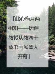 此心梅月两相知——唐建教授从教四十载书画展盛大开幕