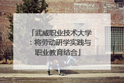 武威职业技术大学：将劳动研学实践与职业教育结合