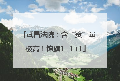 武昌法院：含“赞”量极高！锦旗1+1+1
