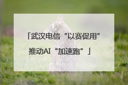 武汉电信“以赛促用”推动AI“加速跑”