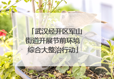武汉经开区军山街道开展节前环境综合大整治行动