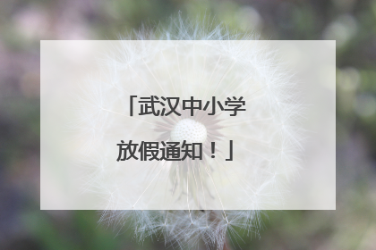 武汉中小学放假通知！