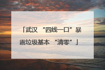 武汉 “四线一口”暴露垃圾基本 “清零”