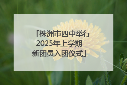 株洲市四中举行2025年上学期新团员入团仪式