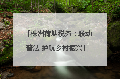 株洲荷塘税务：联动普法 护航乡村振兴