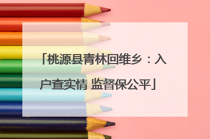 桃源县青林回维乡：入户查实情 监督保公平