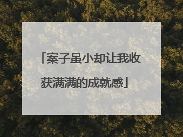 案子虽小却让我收获满满的成就感