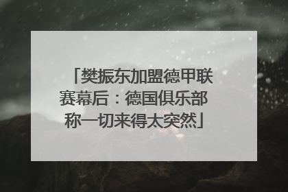 樊振东加盟德甲联赛幕后：德国俱乐部称一切来得太突然