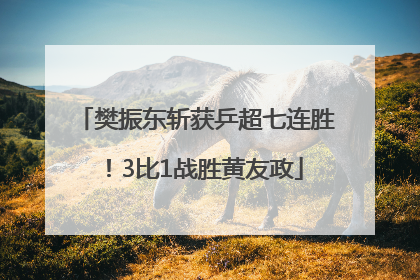 樊振东斩获乒超七连胜！3比1战胜黄友政