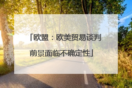 欧盟：欧美贸易谈判前景面临不确定性
