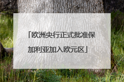 欧洲央行正式批准保加利亚加入欧元区