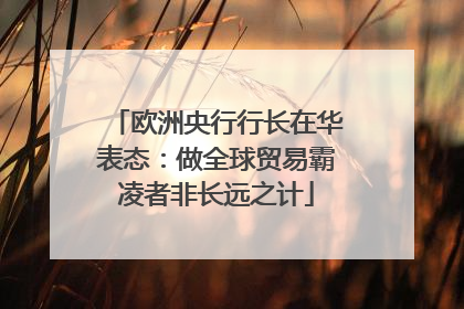 欧洲央行行长在华表态：做全球贸易霸凌者非长远之计