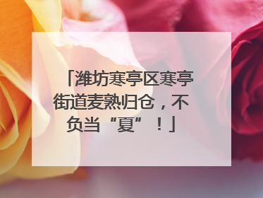 潍坊寒亭区寒亭街道麦熟归仓，不负当“夏”！