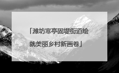 潍坊寒亭固堤街道绘就美丽乡村新画卷