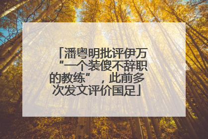 潘粤明批评伊万“一个装傻不辞职的教练”，此前多次发文评价国足
