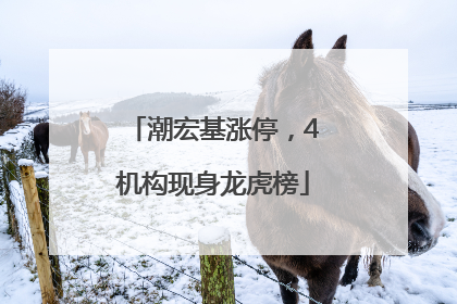 潮宏基涨停，4机构现身龙虎榜