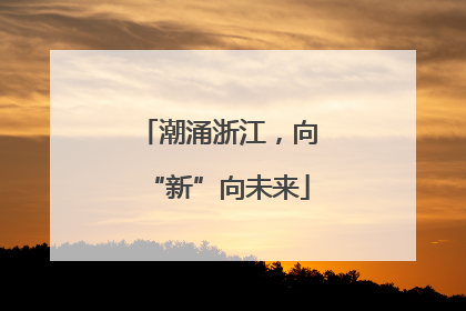 潮涌浙江，向“新”向未来