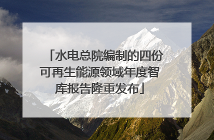 水电总院编制的四份可再生能源领域年度智库报告隆重发布
