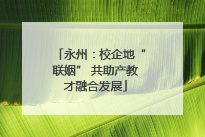 永州：校企地“联姻” 共助产教才融合发展