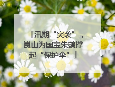 汛期“突袭”，崀山为国宝朱鹮撑起“保护伞”