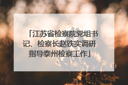 江苏省检察院党组书记、检察长赵铁实调研指导泰州检察工作