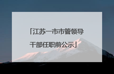 江苏一市市管领导干部任职前公示
