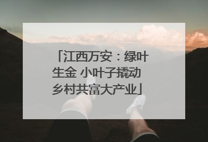 江西万安：绿叶生金 小叶子撬动乡村共富大产业