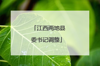 江西两地县委书记调整