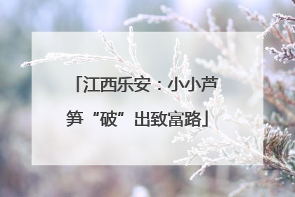 江西乐安：小小芦笋“破”出致富路