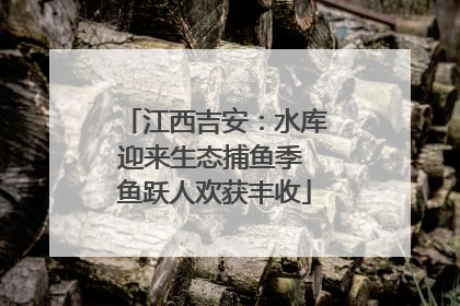 江西吉安：水库迎来生态捕鱼季 鱼跃人欢获丰收