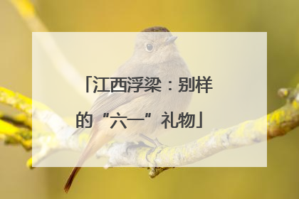 江西浮梁：别样的“六一”礼物