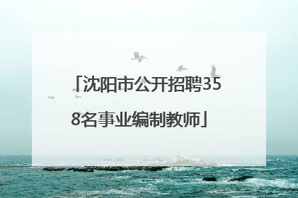 沈阳市公开招聘358名事业编制教师