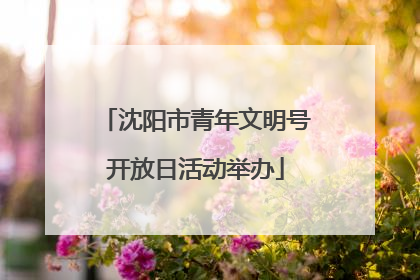 沈阳市青年文明号开放日活动举办