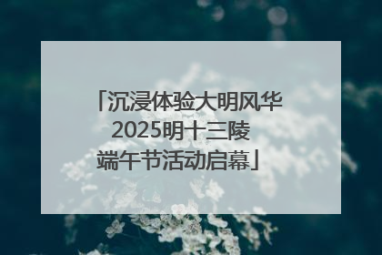 沉浸体验大明风华 2025明十三陵端午节活动启幕