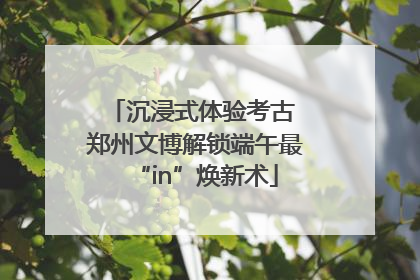 沉浸式体验考古 郑州文博解锁端午最“in”焕新术