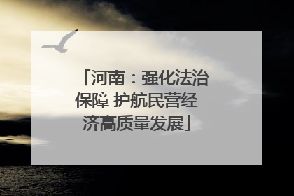 河南：强化法治保障 护航民营经济高质量发展