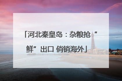 河北秦皇岛：杂粮抢“鲜”出口 俏销海外