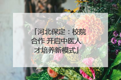 河北保定：校院合作 开启中医人才培养新模式