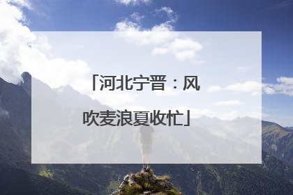河北宁晋：风吹麦浪夏收忙