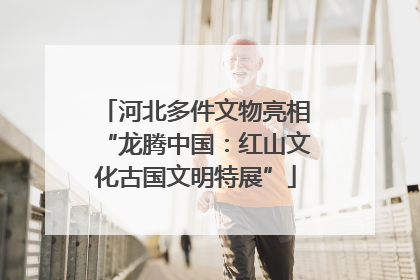 河北多件文物亮相“龙腾中国：红山文化古国文明特展”