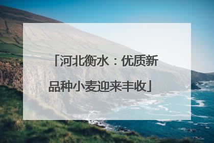 河北衡水：优质新品种小麦迎来丰收