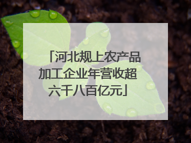 河北规上农产品加工企业年营收超六千八百亿元