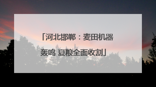 河北邯郸：麦田机器轰鸣 夏粮全面收割