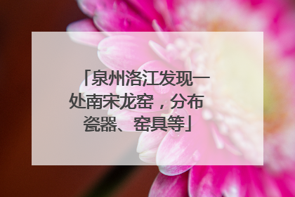 泉州洛江发现一处南宋龙窑，分布瓷器、窑具等